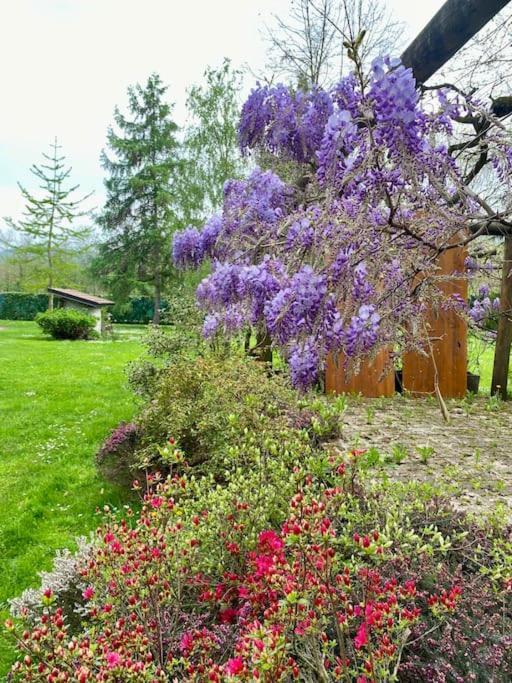 Villa Giulia - Argentera Peveragno 외부 사진